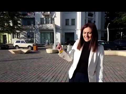 ანა ბიბილაშვილი ქართული ოცნების კანდიდატს დებატებში იწვევს