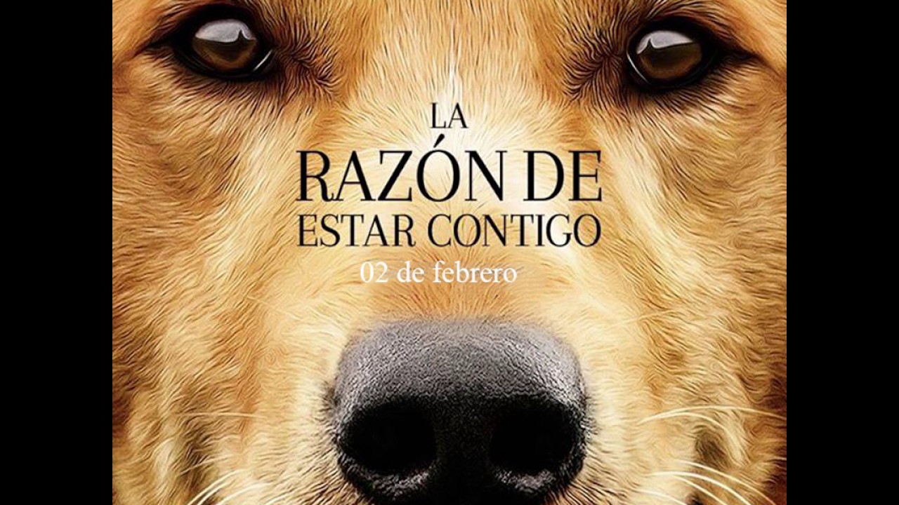 La razón de estar contigo / A Dog's Purpose Hd - YouTube