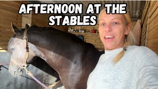 Come to the stables with me - Physio appointment for Gambler