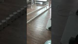 병아리 날갯짓 달리기~ 연습~ screenshot 4