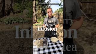 Elderberry Infusion Tea for a SUPER Immune boost - an EASY blend for your herbal medicine cabinet