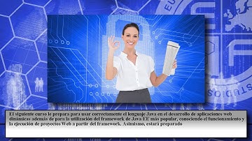 Tecnico Java Struts Desarrollo Aplicacion Web - Cursos Online