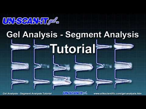 Gel Analysis - Segment Analysis Tutorial