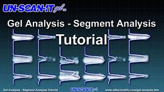 Gel Analysis - Segment Analysis Tutorial