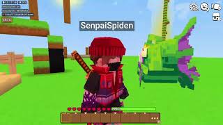 Playing skywars and custom games on minefun io