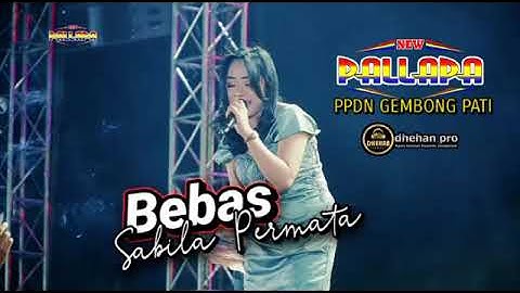 BEBAS Sabila Permata // NEW PALLAPA - PPDN GEMBONG PATI #dhehan_audio