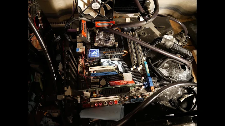 Unlock the Power of Wolf Tail CPUs: Binning and Performance Comparison