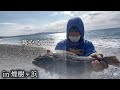 和歌山の煙樹ヶ浜で本当に釣れるのか検証したら……【ショアジギング】