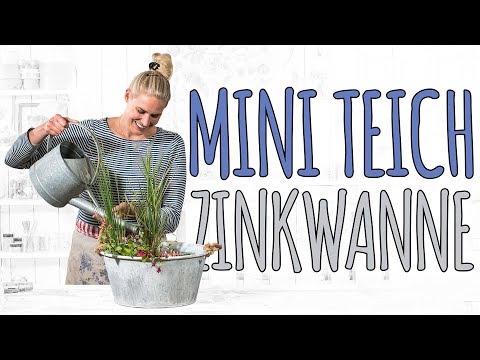 mini-teich-zinkwanne---diy