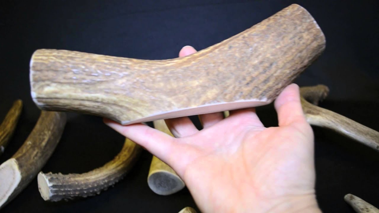 video phone beyonce mp3 Full-Sized Deer Antlers - USA Made (All Sizes)