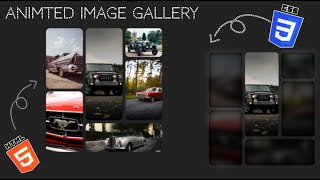 Animated Image 🌌Gallery Made With Pure HTML CSS and JavaScript || With 💥Free Source Code🧑‍💻 Link 👇👇👇