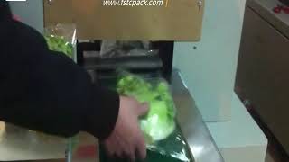 vegetable packing machine  down paper  belt