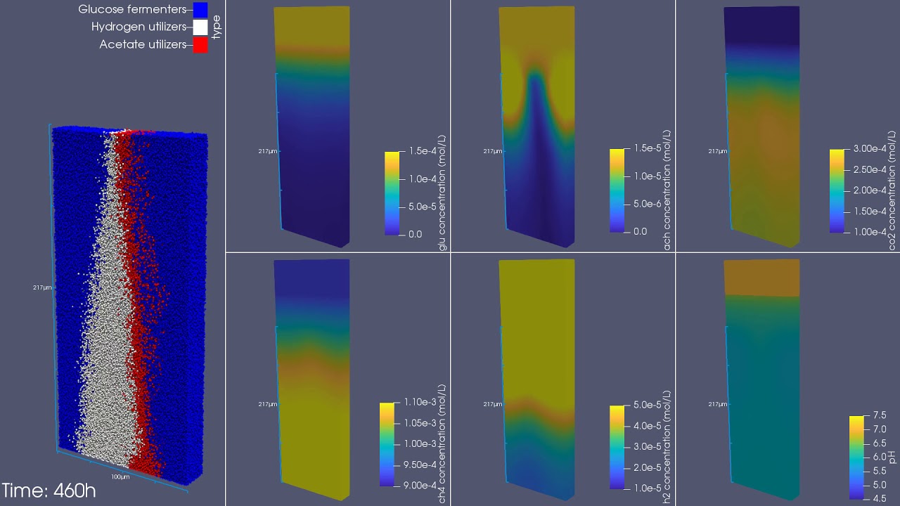 dph fyield dbulk buffer7