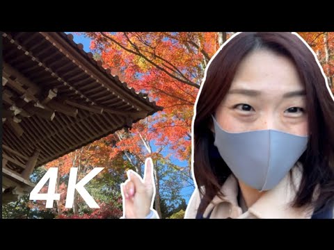 Autumn in Mt. Takao - Tokyo's Best Side Trip!🗻🍁