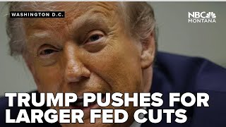 Trump pushes for larger Fed cut, seeks new chair for aggressive reduction strategy