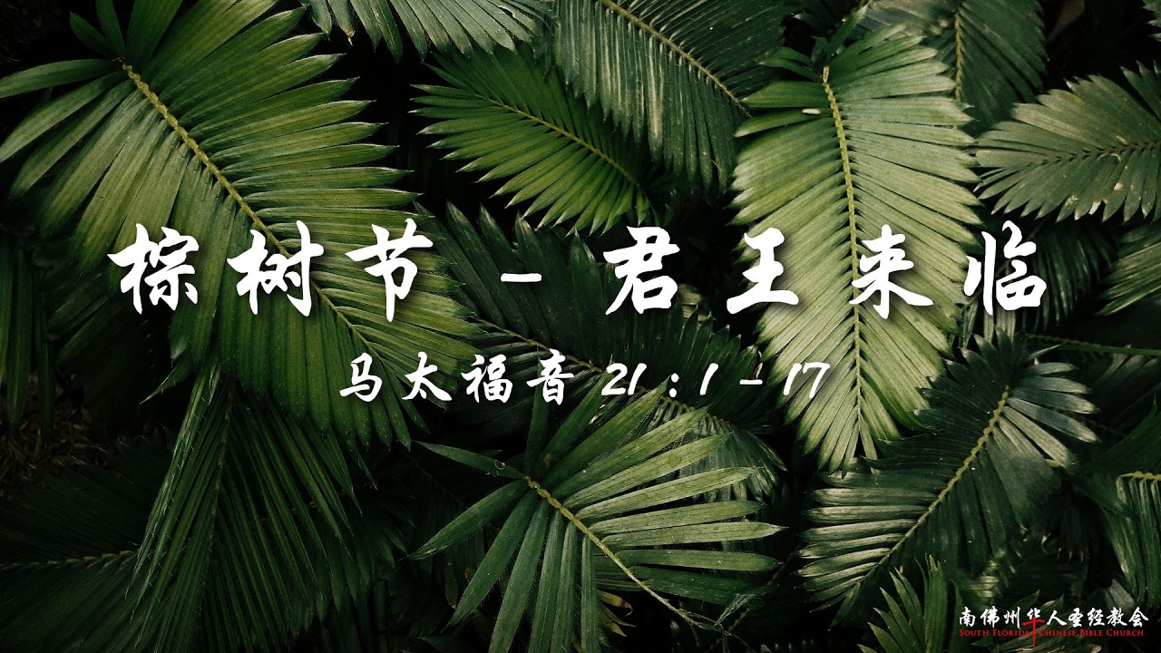 证道:棕树节:君王来临 ( 马太福音 21:1-17),陈英元长老, 03/29/2026, SFLCBC