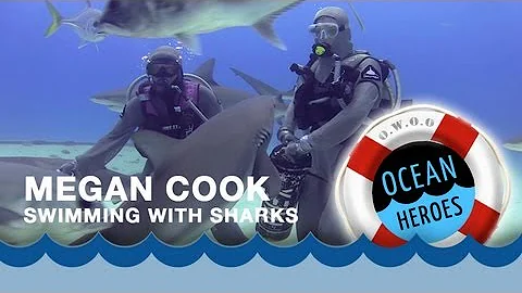 Swimming with Sharks - Megan Cook - Ocean Heroes