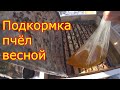 Подкормка пчёл весной. Второй день после выставки