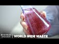 How to make plastic from seaweed  world wide waste  business insider