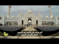 جامع الشيخ زايد الكبير أكبر مسجد في العالم