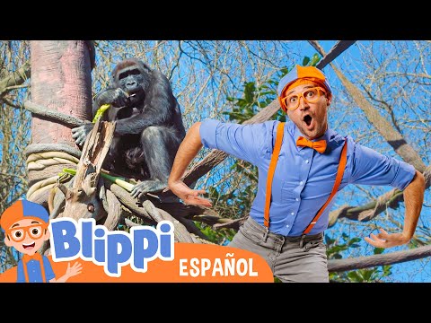 How to watch and stream Blippi Español Los Animales de la Selva en