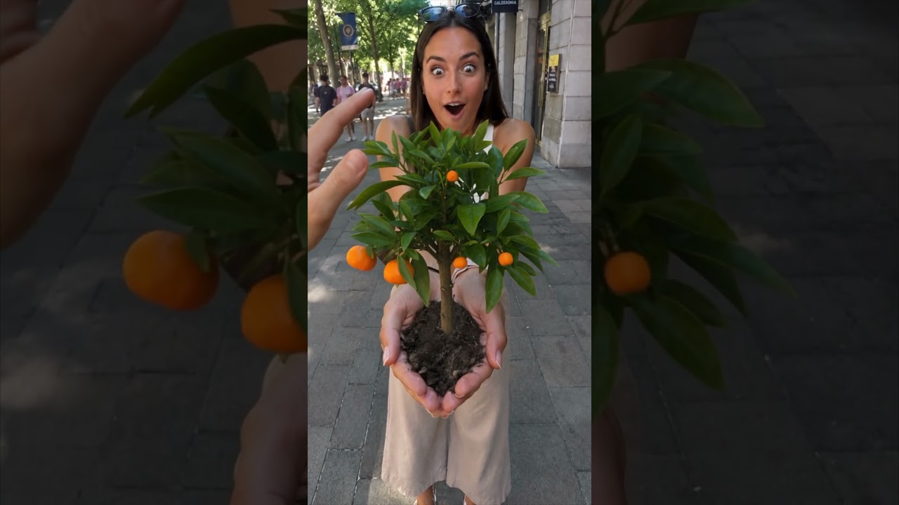 Magician Makes Orange Tree Grow from Woman's Hands in Amazing Street Magic Trick
