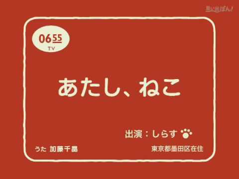 あたし、ねこ(しらす)