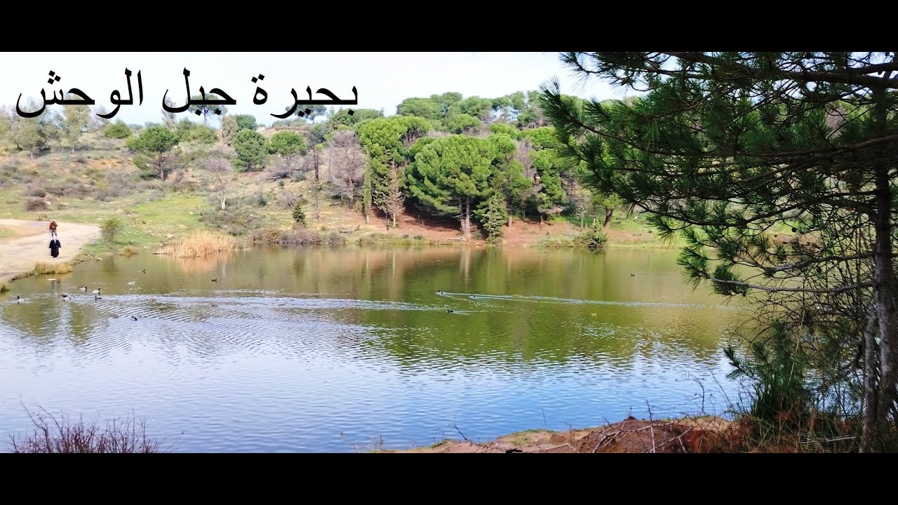 Lacs Djabel El Ouache (Constantine) -- بحيرات جبل الوحش (قسنطينة)