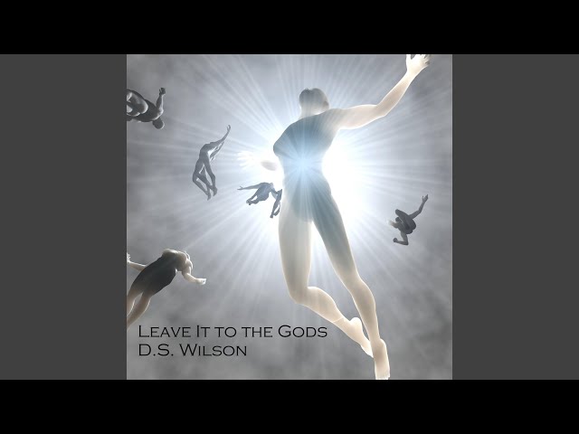 D.S. Wilson - Leave It To The Gods