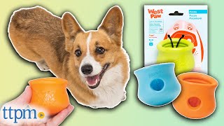 Toppl Treat Dispensing Dog Toy from West Paw Review!