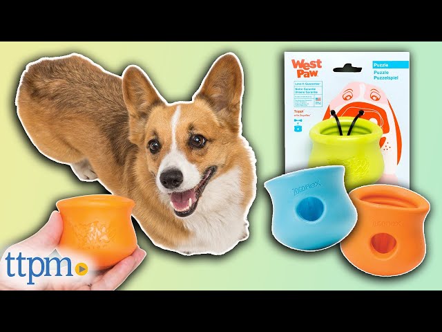 What is a Toppl and which size is right for my dog? – Moo Moo and Bear