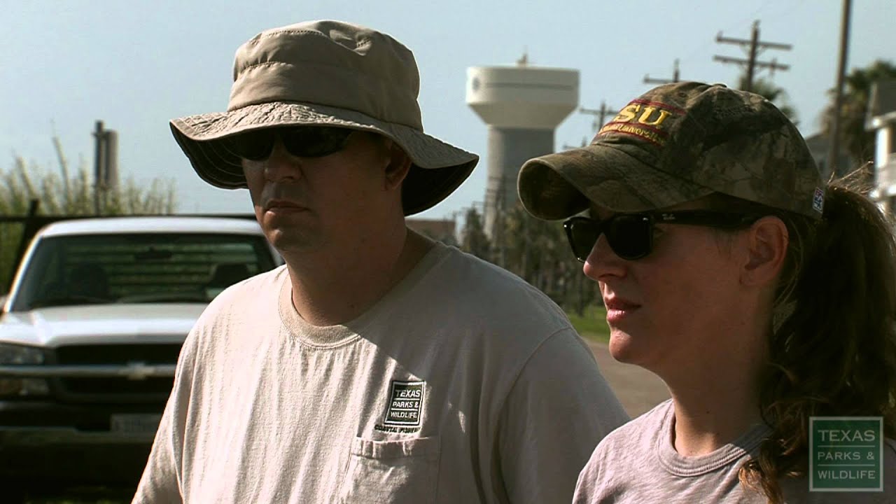 Marshes: Cherie O'Brien - Texas Parks 