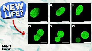 This Artificial Cell EATS and REPRODUCES - Mind Blow #157 screenshot 2