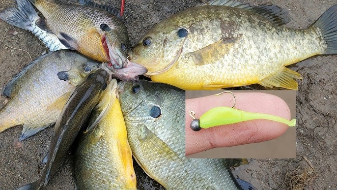 Why You SHOULD Be using Sickle Hooks While Crappie Fishing