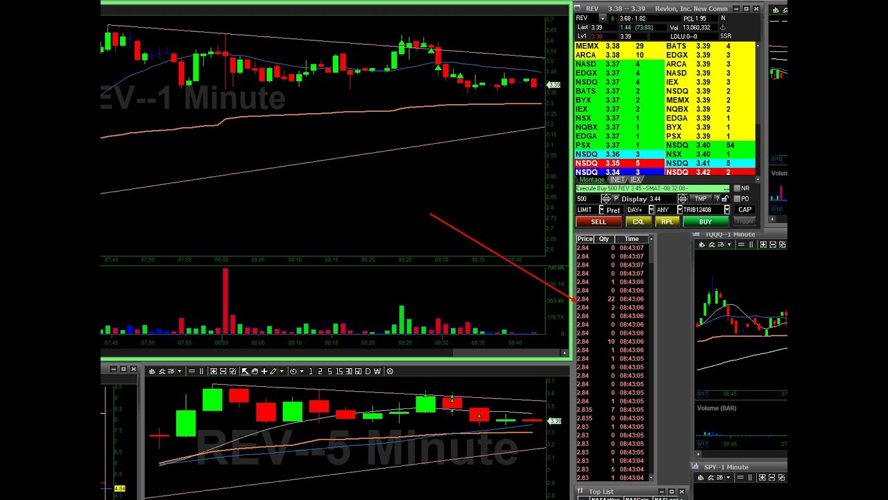 Live day trading, Jan, 16, 2024, 8.48% Profit on $RVSN