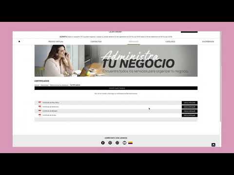 Servicios de pagina web. negocioleonisa.com