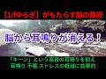 【耳鳴り音響療法】脳から耳鳴りを消す音!自律神経を整える「1/fゆらぎ」が耳鳴り不眠ストレスを改善