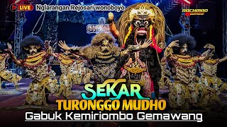 Download Lagu Spektakuler !! KUDA KEPANG STM SEKAR TURONGGO MUDHO GABUK_Live Nglarangan Wonoboyo Terbaru 2025 MP3