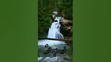 الدهر ذو دول ابو العتاهية Poetry Explore Love 