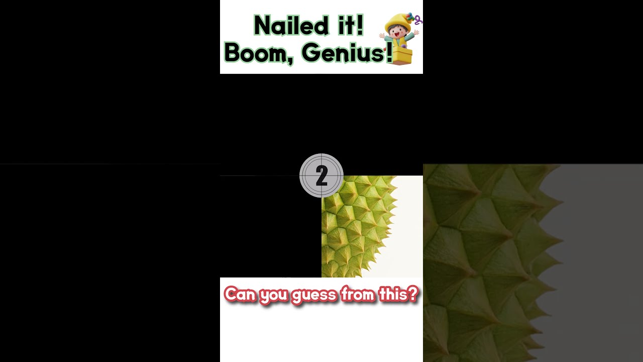 Nailed It Boom Genius Can You Guess From Just 4 Cuts 