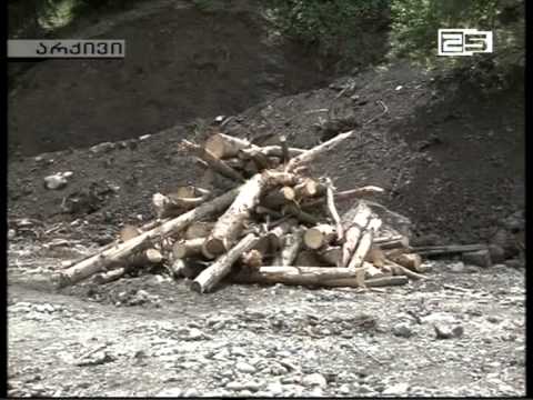 აჭარაში 100 ათასი კუბური მეტრი საშეშე მასალა გამოიყო