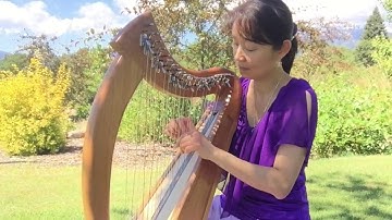 Butterflies in the Sun - Original Composition (Double-Strung Harp 432hz) + Sheet Music