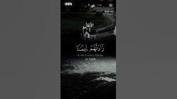 (سورة الأنفال) من الايه 2 #قران_كريم #اكسبلور #المصحف #الرحمن إلى الاية 3