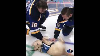 St. Louis Blues - Team Photo Day and playing with dog - March 20, 2019