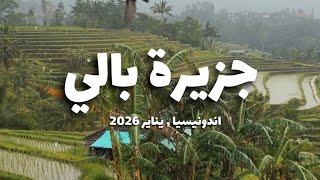 أفضل وجهة للسفر في عام ٢٠٢٦ هي جزيرة بالي في أندونيسيا #bali  screenshot 4