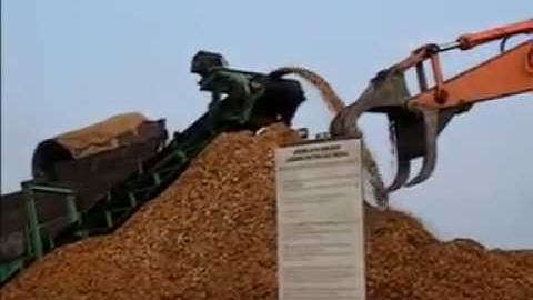 Mobile acacia debarking and chipping operations in Malaysia