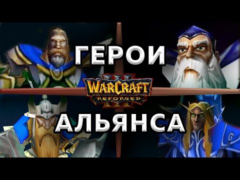 Видео: ГЕРОИ АЛЬЯНСА - Warcraft 3 : Reforged - гайд варкрафт 3 за альянс