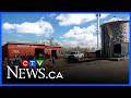 Popular petting farm re-open after Cryptosporidium outbreak