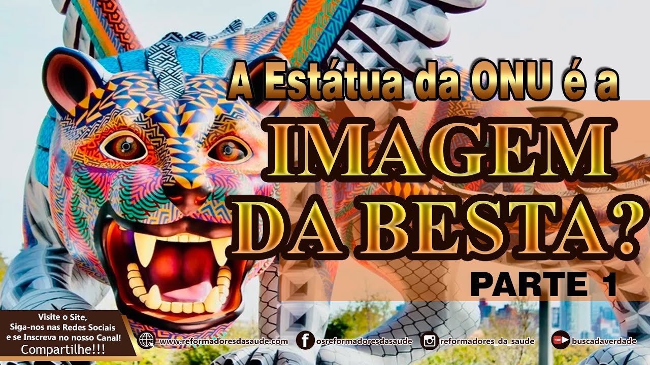 Vídeo: 