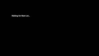 Brownfield Auto Auction Live Stream